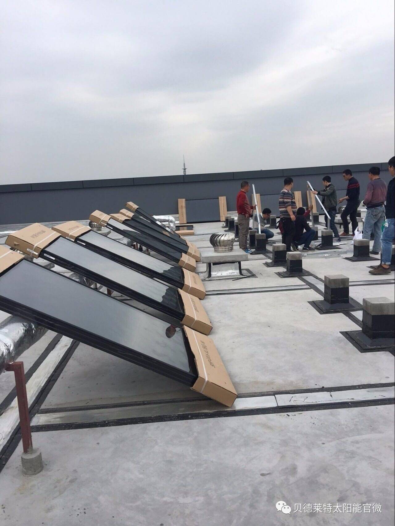 flat plate.jpg flat plate.jpg